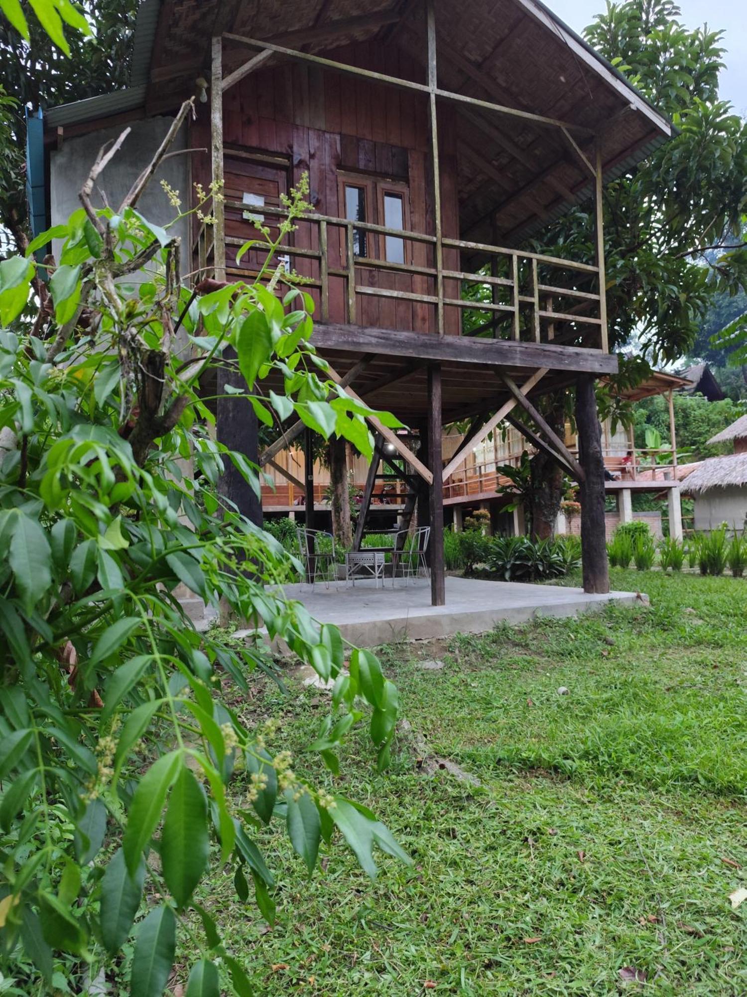 Bua Guesthouse Tangkahan Exterior foto